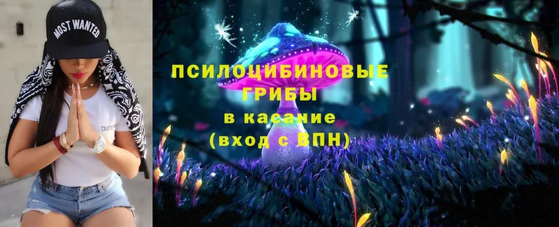 Псилоцибиновые грибы Magic Shrooms  сколько стоит  Вилючинск 